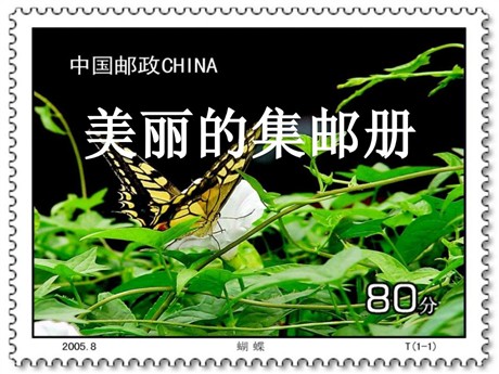 《美丽的集邮册》PPT课件3
