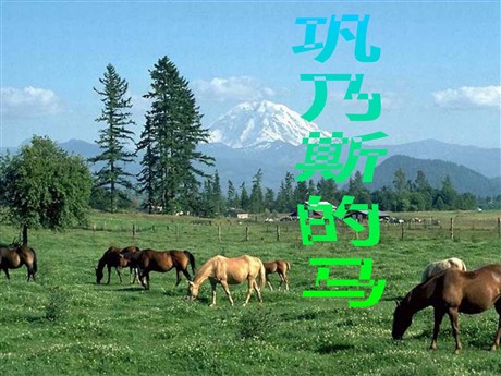 《巩乃斯的马》PPT课件3