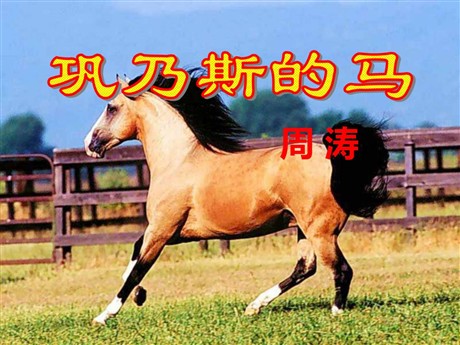 《巩乃斯的马》PPT课件4