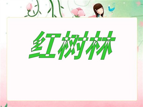 《红树林》PPT课件4