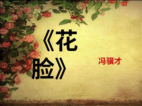 《花脸》PPT课件3