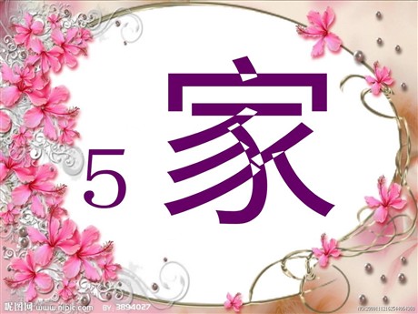 《家》PPT课件2