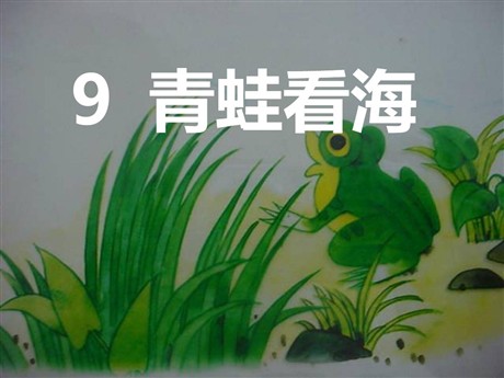 《青蛙看海》PPT课件5