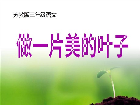 《做一片美的叶子》PPT课件3