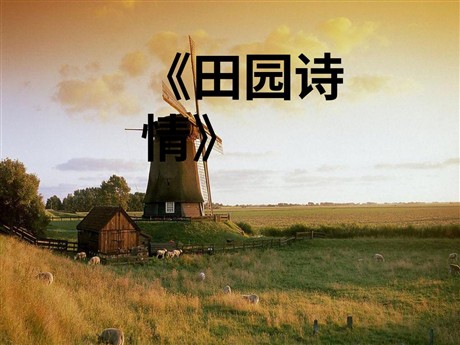 《田园诗情》PPT课件3