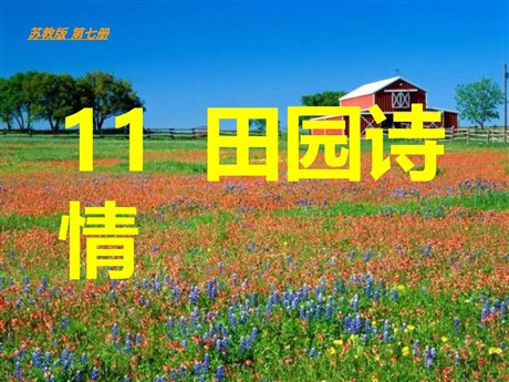《田园诗情》PPT课件4