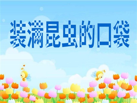 《装满昆虫的衣袋》PPT课件4