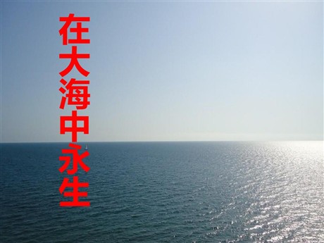 《在大海中永生》PPT课件4