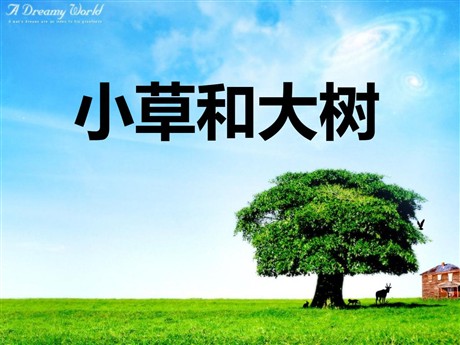 《小草和大树》PPT课件6