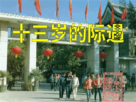 《十三岁的际遇》PPT课件