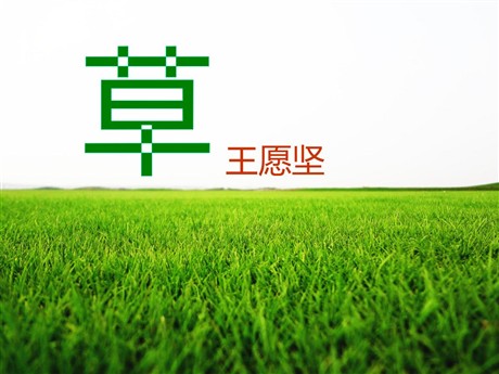 《草》PPT课件6