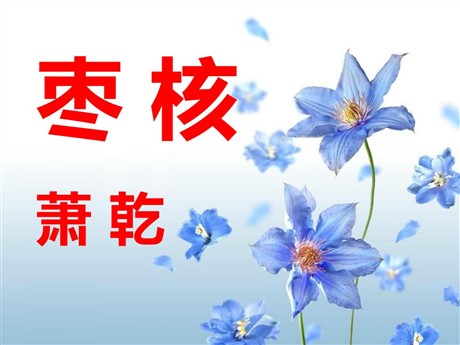 《枣核》PPT课件
