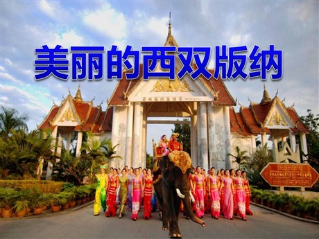 《美丽的西双版纳》PPT课件2