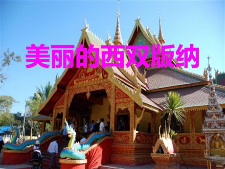《美丽的西双版纳》PPT课件3