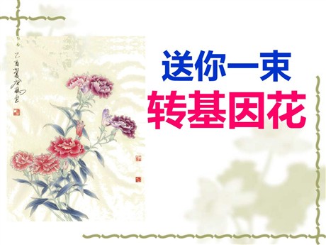 《送你一束转基因花》PPT课件