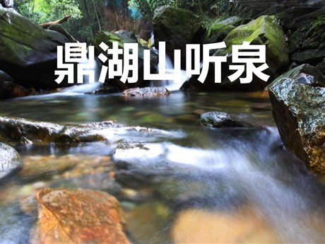 《鼎湖山听泉》PPT课件