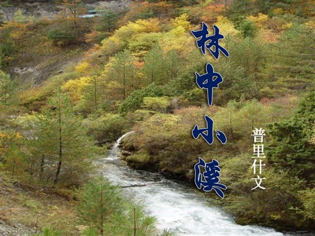《林中小溪》PPT课件