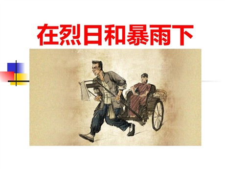 《在烈日和暴雨下》PPT课件