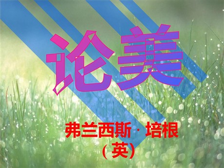 《论美》PPT课件2