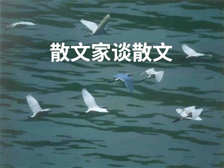 《散文家谈散文》PPT课件