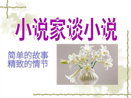 《小说家谈小说》PPT课件3