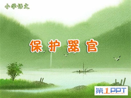 《保护器官》PPT课件