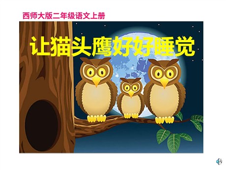 《让猫头鹰好好睡觉》PPT课件2