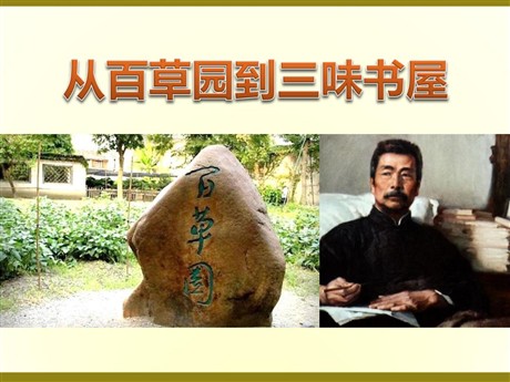 《从百草园到三味书屋》PPT课件11