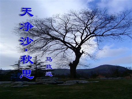 《天净沙·秋思》PPT课件2