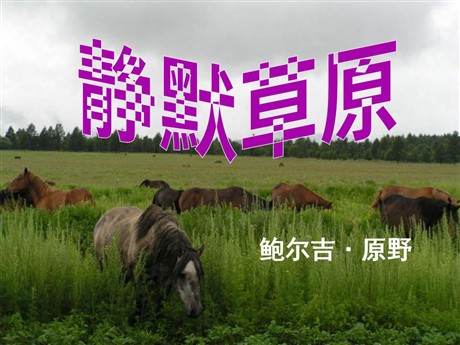 《静默草原》PPT课件2