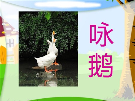 《咏鹅》PPT课件2