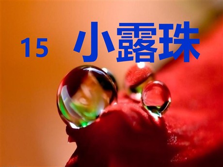 《小露珠》PPT课件5