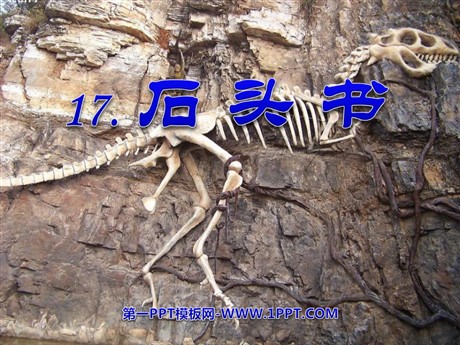 《石头书》PPT课件3