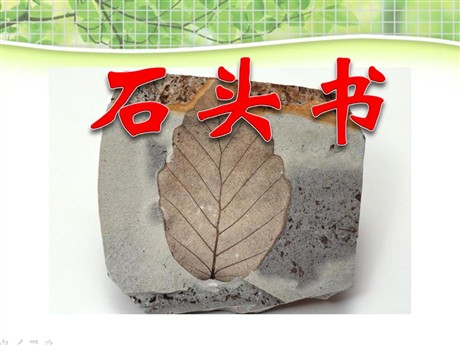 《石头书》PPT课件4