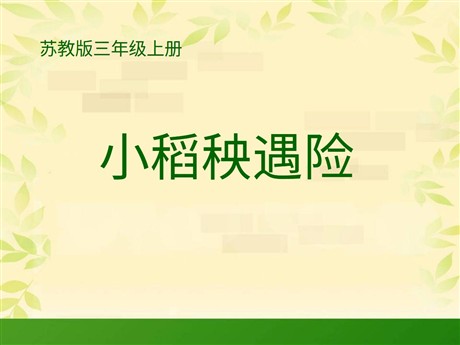 《小稻秧脱险记》PPT课件5