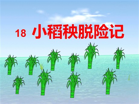 《小稻秧脱险记》PPT课件7