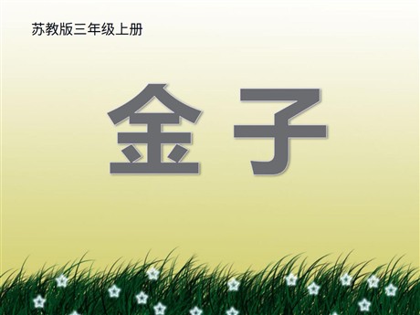 《金子》PPT课件3