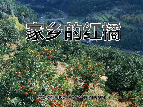 《家乡的红橘》PPT课件3