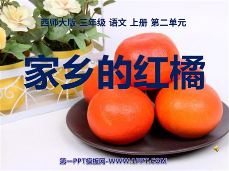 《家乡的红橘》PPT课件4