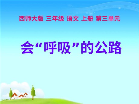 《会“呼吸”的公路》PPT课件4