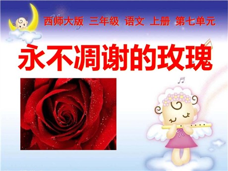 《永不凋谢的玫瑰》PPT课件5