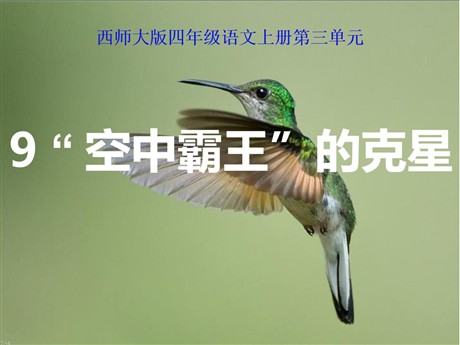 《“空中霸王”的克星》PPT课件3