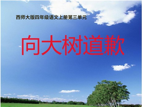 《向大树道歉》PPT课件3
