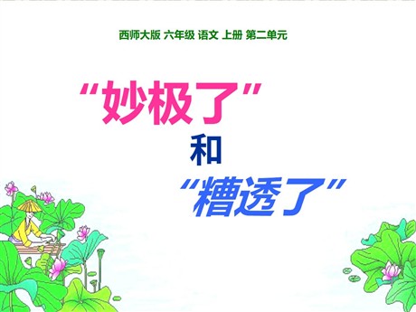 《妙极了与糟透了》PPT课件4