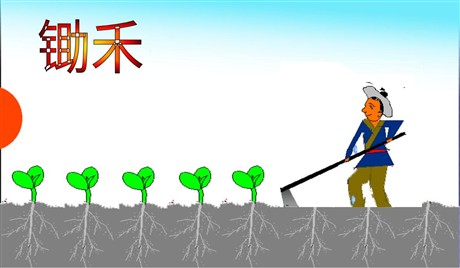 锄禾ppt教学课件下载