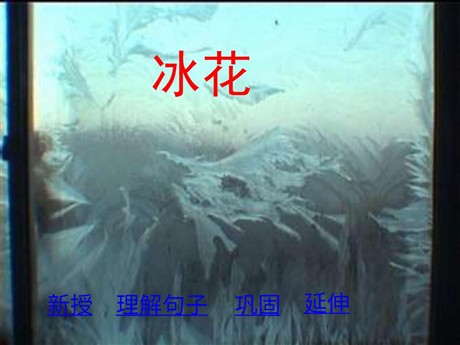 冰花PPT教学课件下载