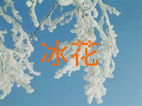 冰花PPT教学课件下载2