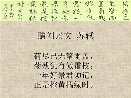 《赠刘景文》PPT教学课件下载2