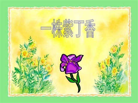 《一株紫丁香》PPT教学课件下载