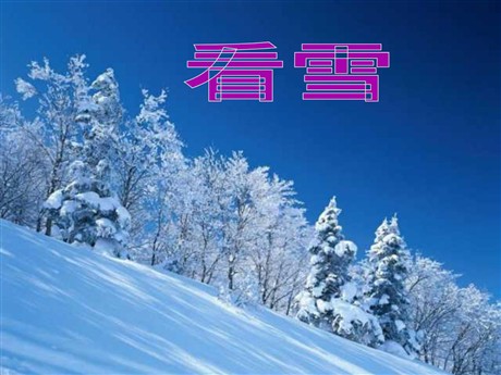 《看雪》PPT教学课件下载